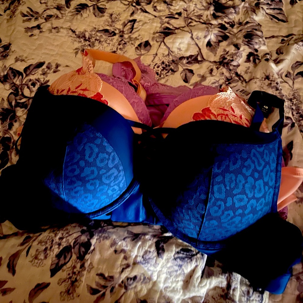 TORRID BRAND NEW WITH TAGS 3 FLATTERING PRETTY BRAS 42B